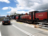 crossing the road at Pont Croesor (Andrew Thomas)