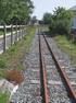 Looking back South towards 'Harbour Station (Photo: L.Armstrong)