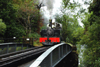 Lyd's Supporters Train at Plas y Nant on the way to Beddgelert. (Photo: C.Parry/FR)