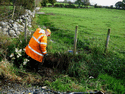 Lineside clearance between Dinas and Cae-Moel - Steve Broomfield