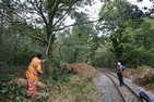 Lineside clearance near Tyn y Coed - going.... - Simon Melhuish