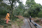 Lineside clearance near Tyn y Coed- going.... - Simon Melhuish