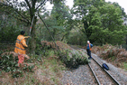 Lineside clearance near Tyn y Coed - gone. - Simon Melhuish