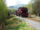 Forestry crossing - passing traffic - Steve Broomfield