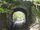 Bryngwyn footpath - the overbridge Pic: David Tidy