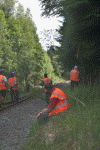 Rest of the World Gang near Canal Curve - Simon Melhuish