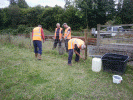 Reinforcing fencing - Tony Baker