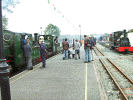 Six locos at Dinas - Clive Briscoe