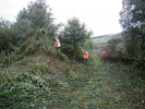 Clearing scrub at Betws Garmon - Tony Baker