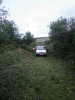 Clearing scrub at Betws Garmon, task complete - Tony Baker