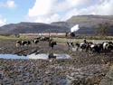 Taliesin and Vale of Ffestiniog at Ynysfor. (Photo: Alasdair Stewart)