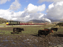 Taliesin and Vale of Ffestiniog at Ynysfor. (Photo: Alasdair Stewart)