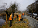 Attaching the stock fencing. (Photo: S.Broomfield)