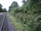 Undergrowth trimming near Bontnewydd Station - After. (Photo: Tony Baker)