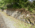 The retaining wall after vegetation removal. (Photo: Tony Baker)