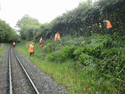 Removal of linesde vegetation to the South of Fron Goch Crossing. (Photo: Tony Baker)