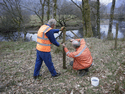 Attaching the stock fencing. (Photo: T.Baker)