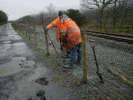 Fencing at Hafod y Llyn - Tony Baker