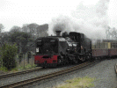 87 pulls into Dinas