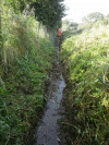 Drain cleared near Plas Bodaden - Tony Baker