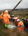 Liming the summit cutting - Tony Baker