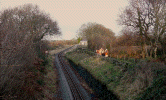 Vegetation clearance at Tryfan Junction - Andy Keene