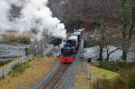 Gelert on test run to Beddgelert - Andrew Thomas