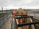 Erecting roof trusses on the new signal box - Tony Baker