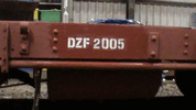 Work progressing on DZF2005 (Photo: M.Ingham)