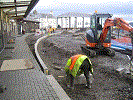 Platform edging nearing completion - Stuart McNair