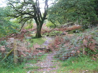 Cwm Bychan