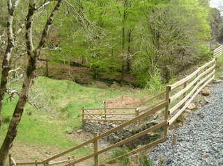 Cwm Bychan stream