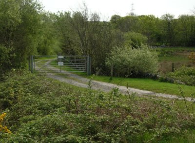 Bryngwyn branch