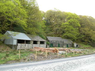 Hafod y Llyn