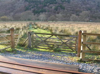 Hafod y Llyn