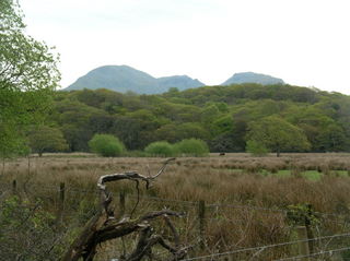 Moelwyns