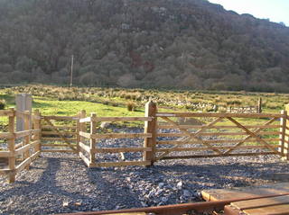 Parry's pig farm