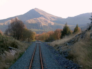 New Forestry Crossing