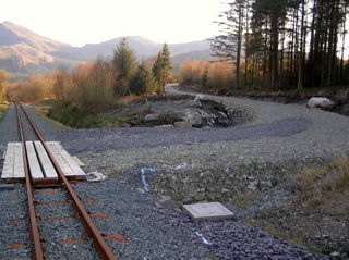 Forestry crossing