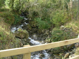 Stream at McAlpine Bridge