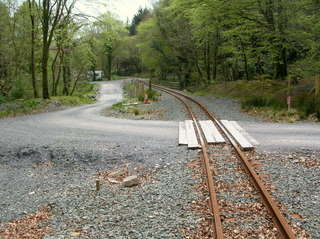 Coed Mawr Crossing