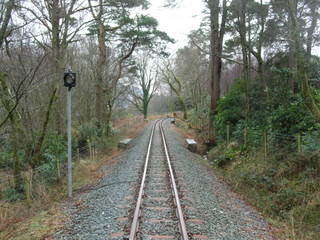 Ty'n y Coed Crossing light