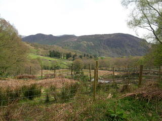 View near Ty'n y Coed