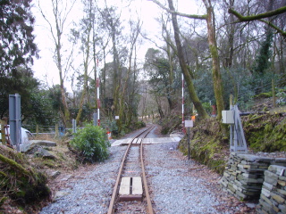 Ty'n y Coed crossings