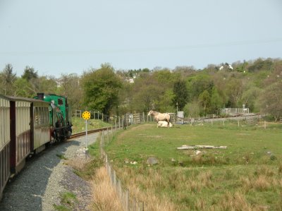 Waun Fawr south